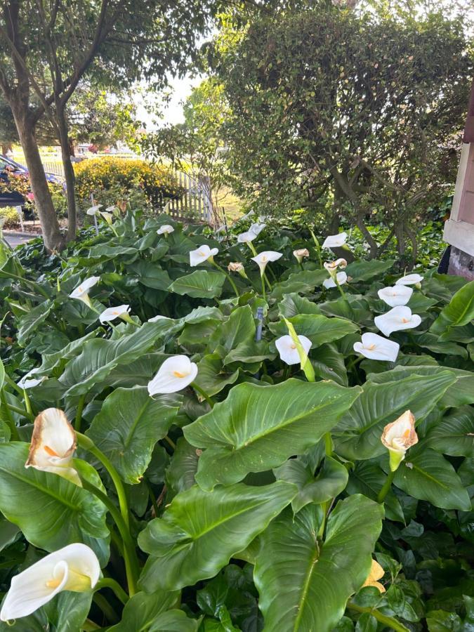 The Gables Wine Country Inn Santa Rosa Bagian luar foto